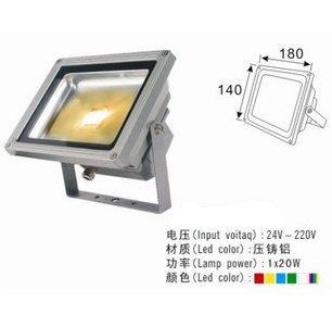 LEDͶ 20W